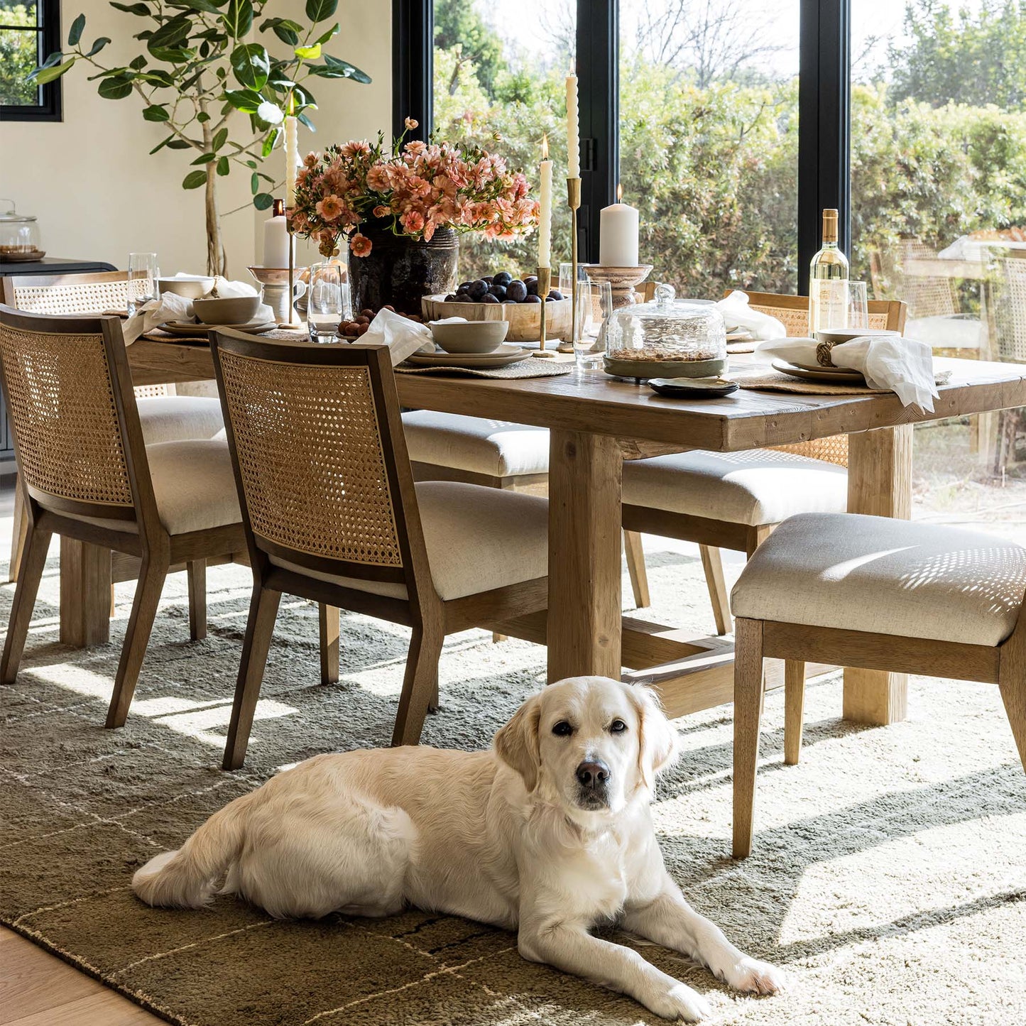 Chaise de salle à manger sans accoudoirs Alexander
