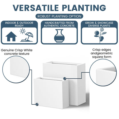 Grandes jardinières rectangulaires en béton / Grandes jardinières pour fleurs, pour intérieur et extérieur