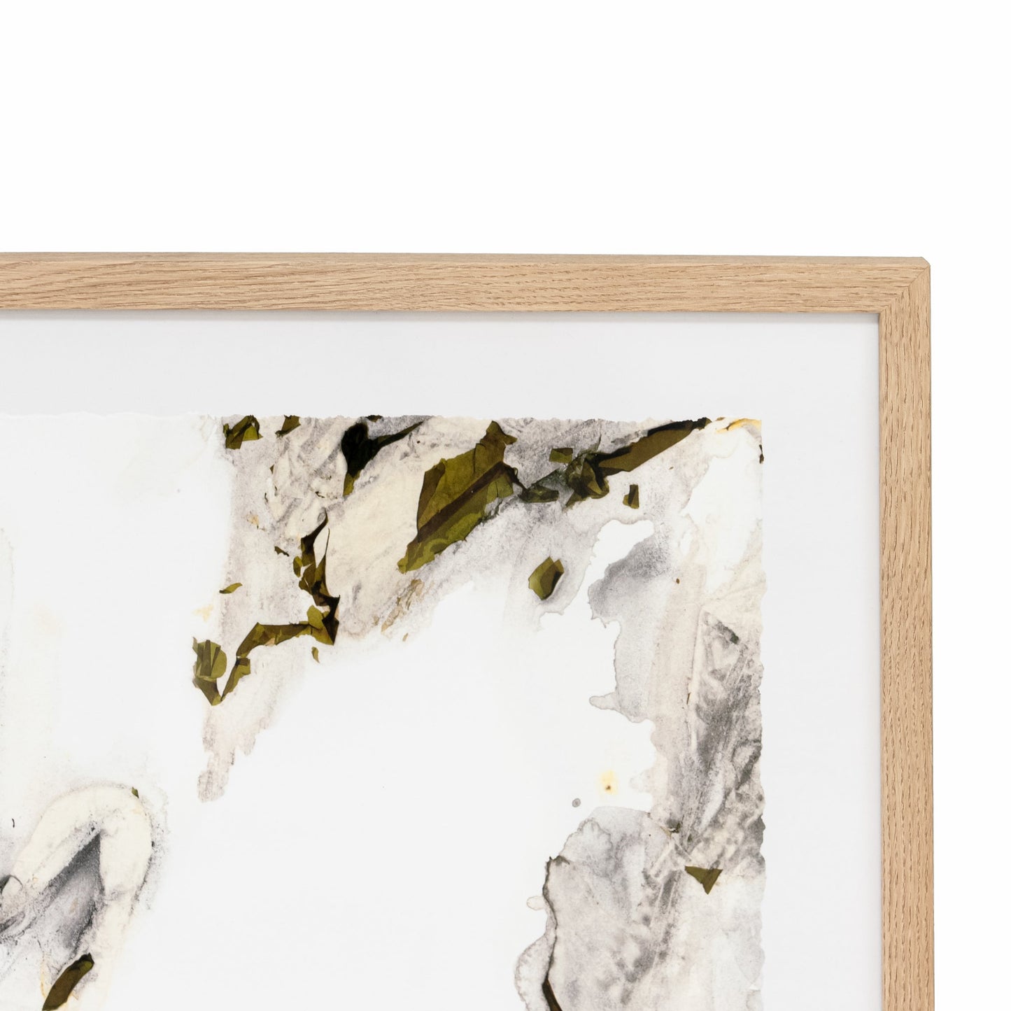 Apprivoiser la nature sauvage par Jennifer Siani