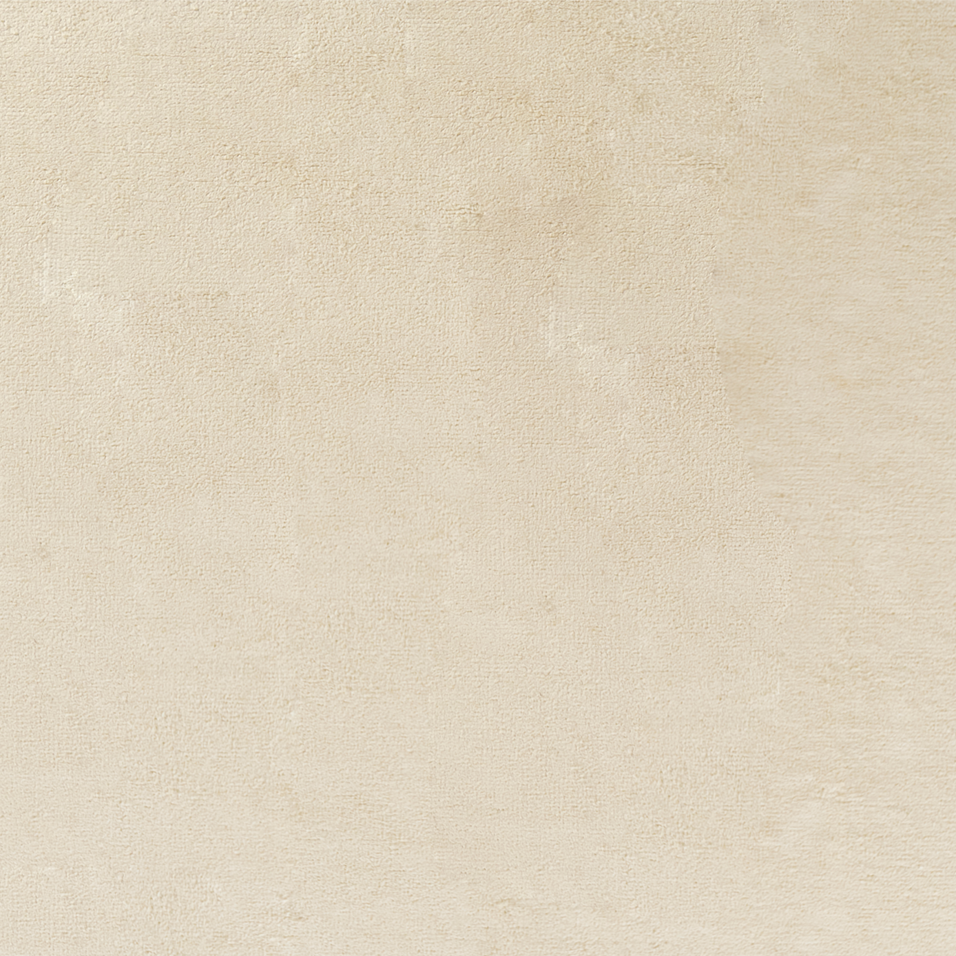 Pure Salt x Momeni Tavira Handwoven Rug