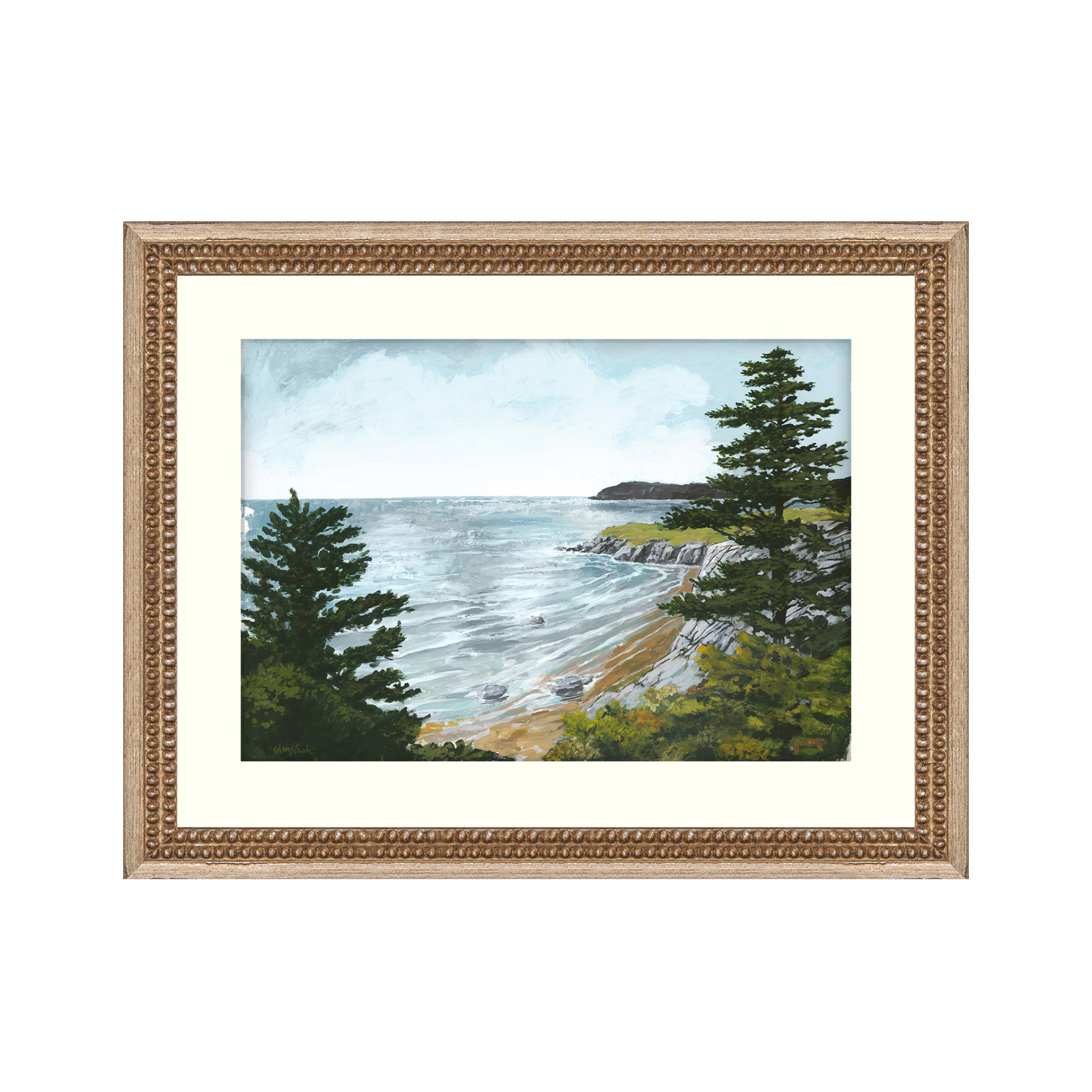 Selected Variant Image