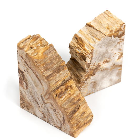 Butées de livres en bois pétrifié Zana