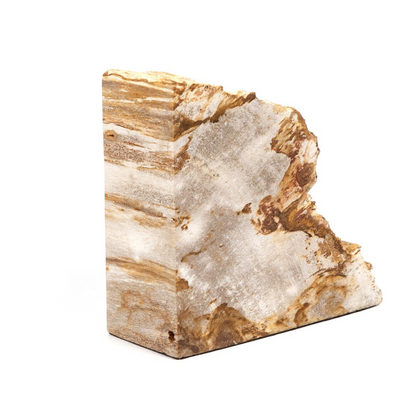 Butées de livres en bois pétrifié Zana