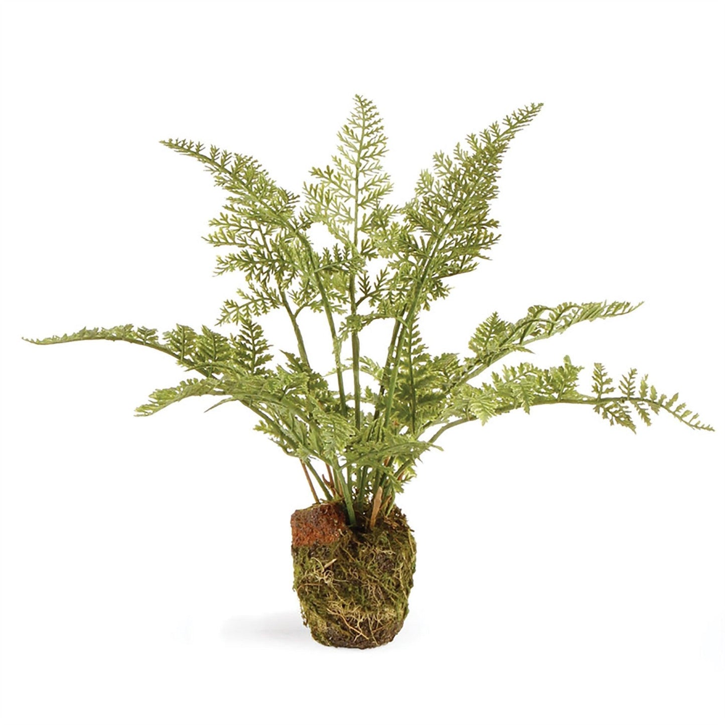 Fern Drop-In, Petit modèle