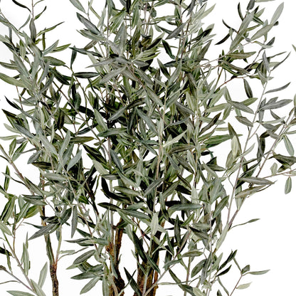 Grand arbre d'olivier, modèle Drop-In, 6'6