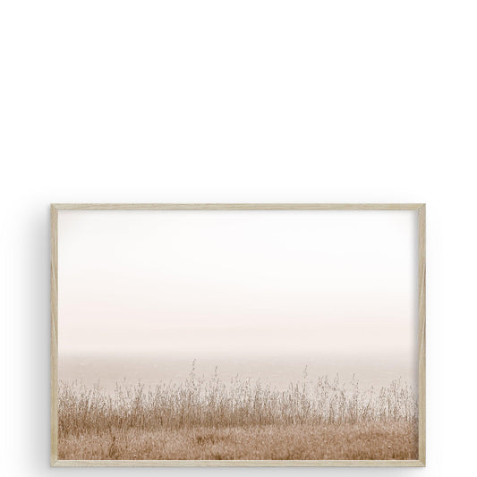 Great Wide Open Sea Ranch CA par Carly Tabak