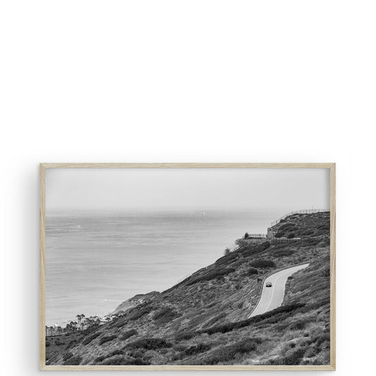 Highway 1 San Diego CA by Carly Tabak