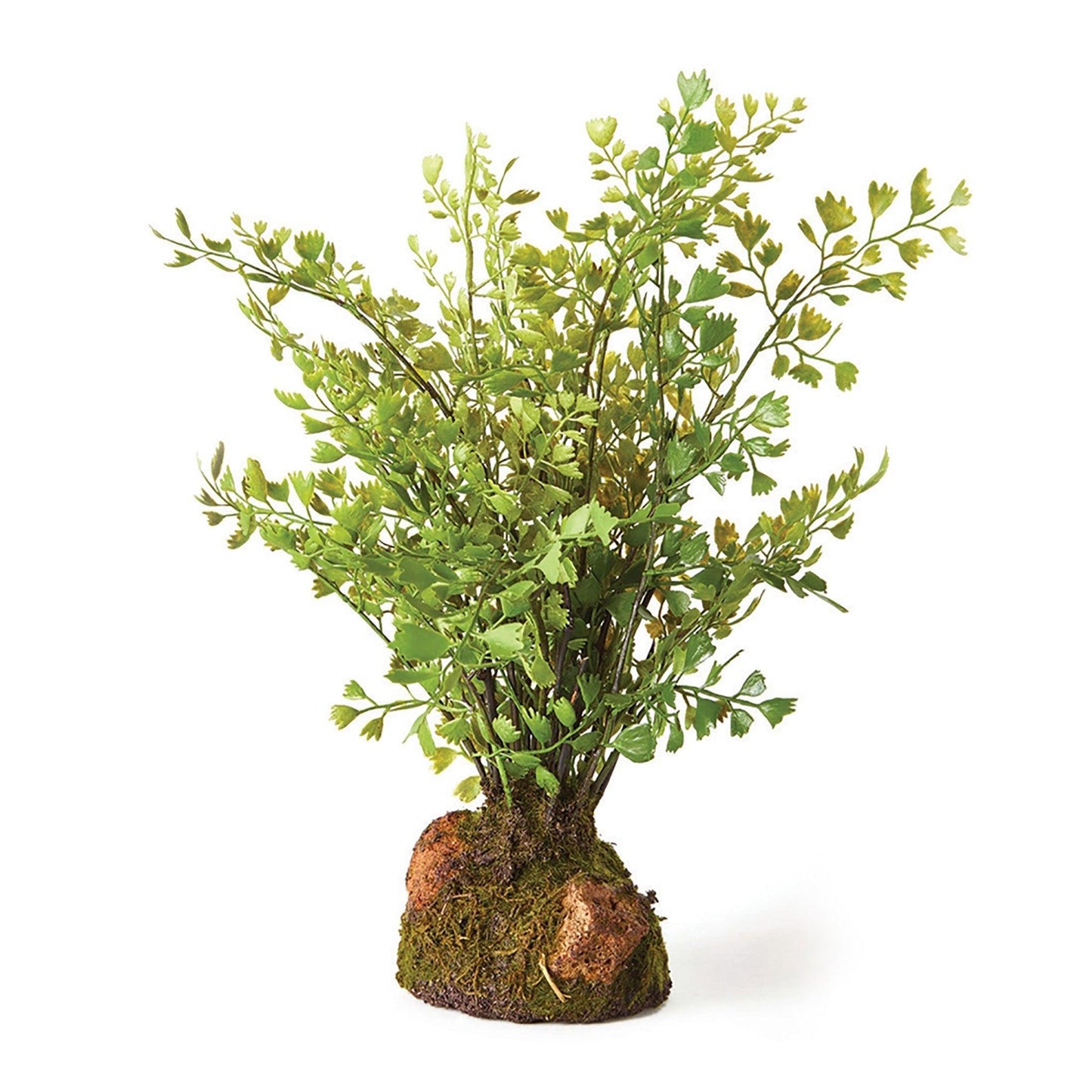 Maiden Hair Drop-In 11