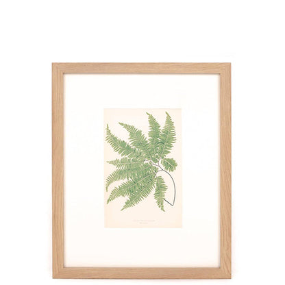 Imprimé cheveux de vierge