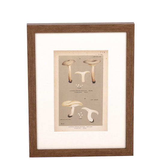 Imprimé à l'encre de lait