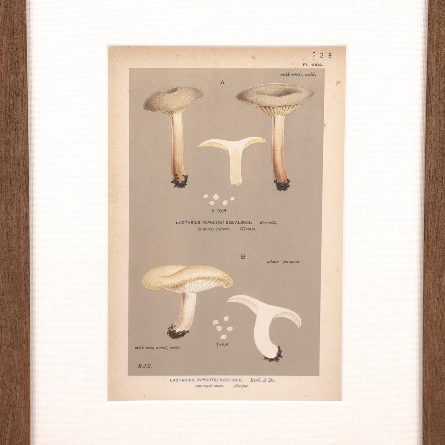 Imprimé à l'encre de lait