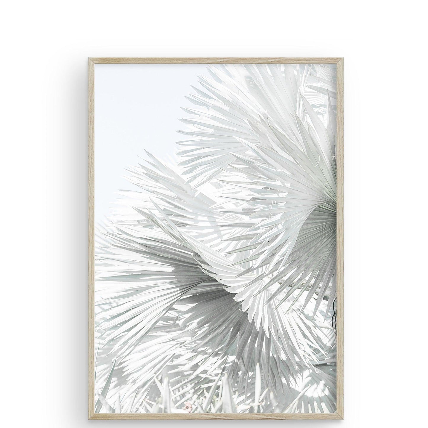 Mint Palms Hawaii by Carly Tabak