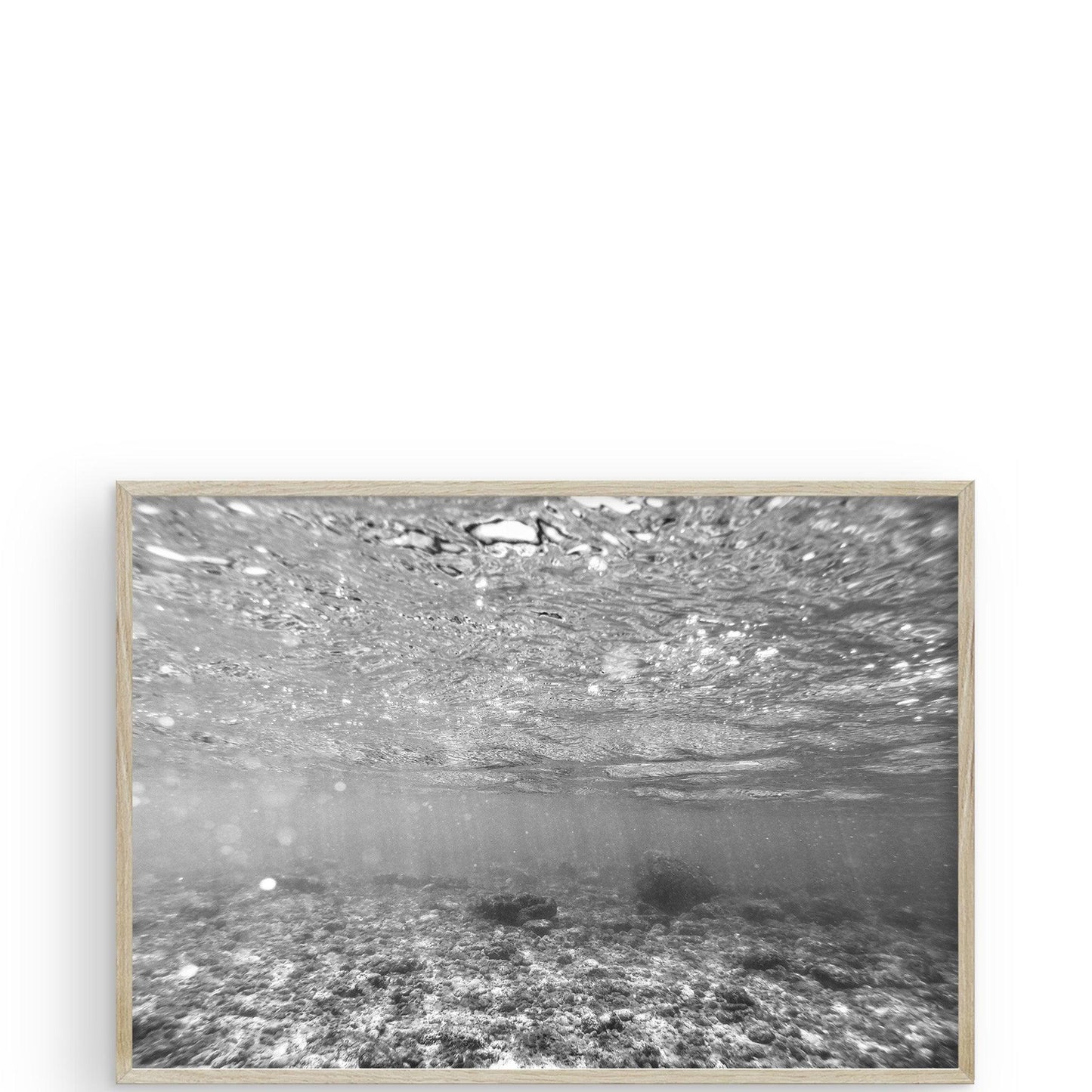 The Shallows Hawaii by Carly Tabak