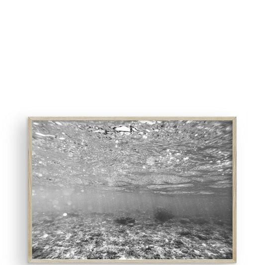 The Shallows Hawaii by Carly Tabak